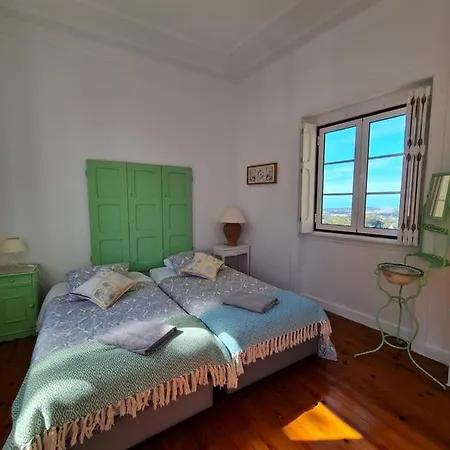 Maria Saudade Sintra